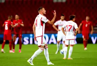 Szalai, Standard Liege'de!