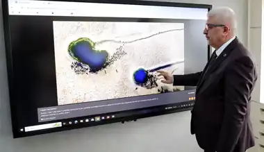 Taşdemir, AA Yılın Kareleri'ni Seçti
